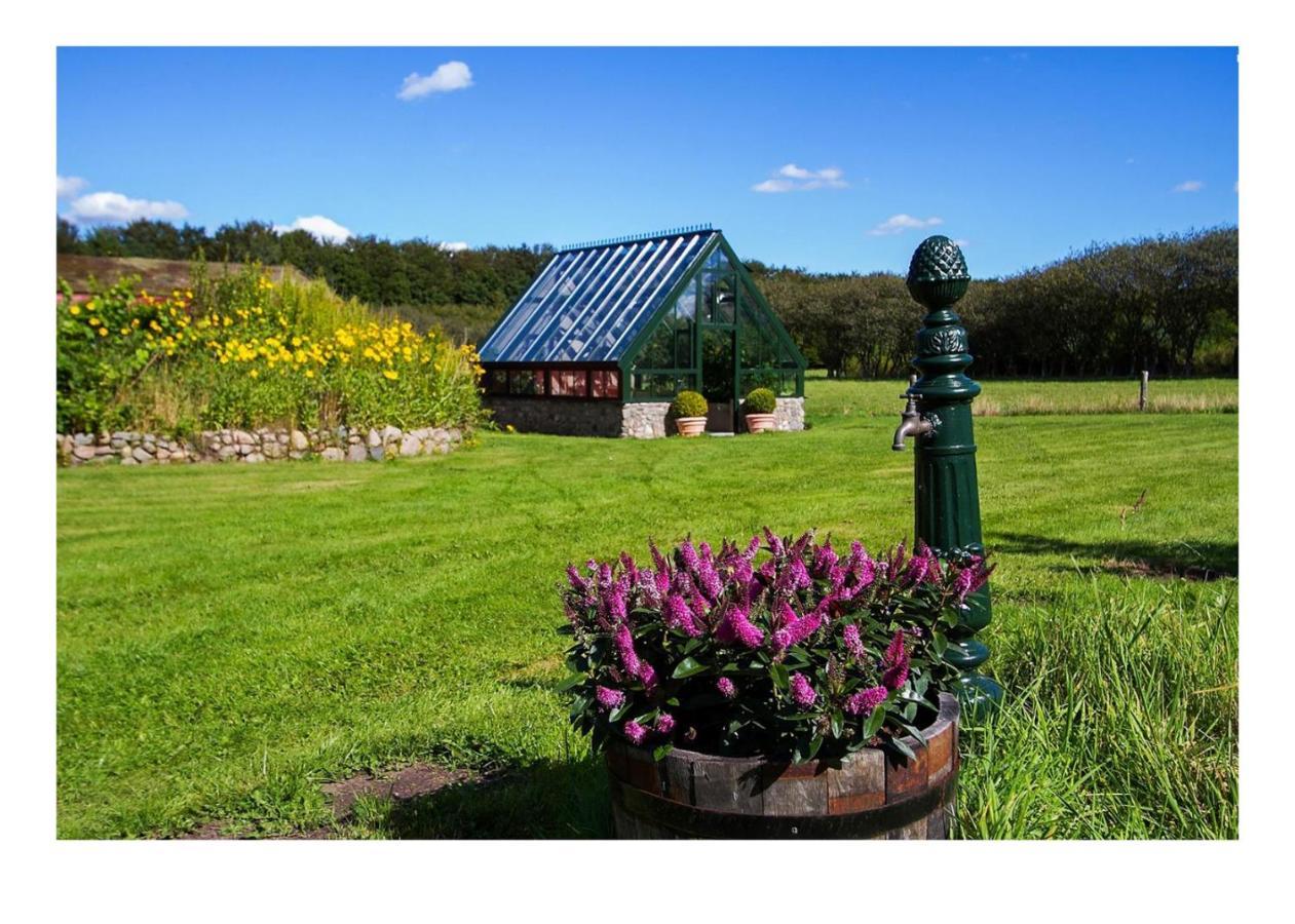 Bed and Breakfast Holmsminde Віборґ Екстер'єр фото
